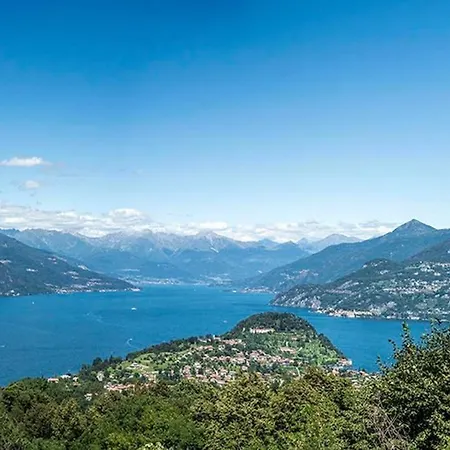 Of Bellagio's Woods *